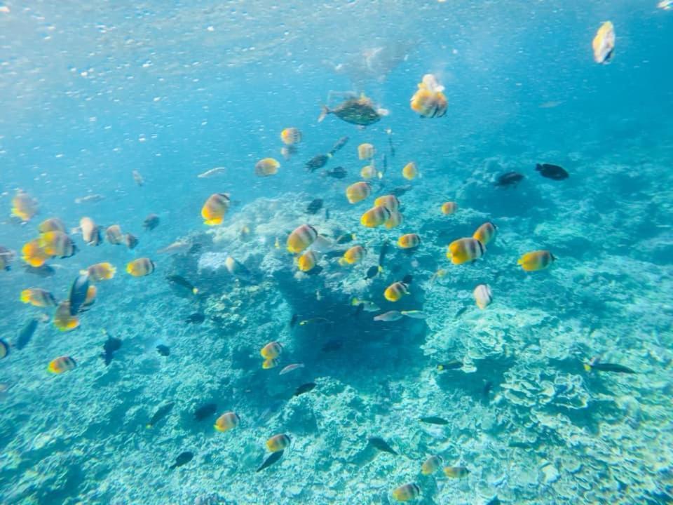 Sealovers' Place Masasa Beach Batangas Eksteriør bilde