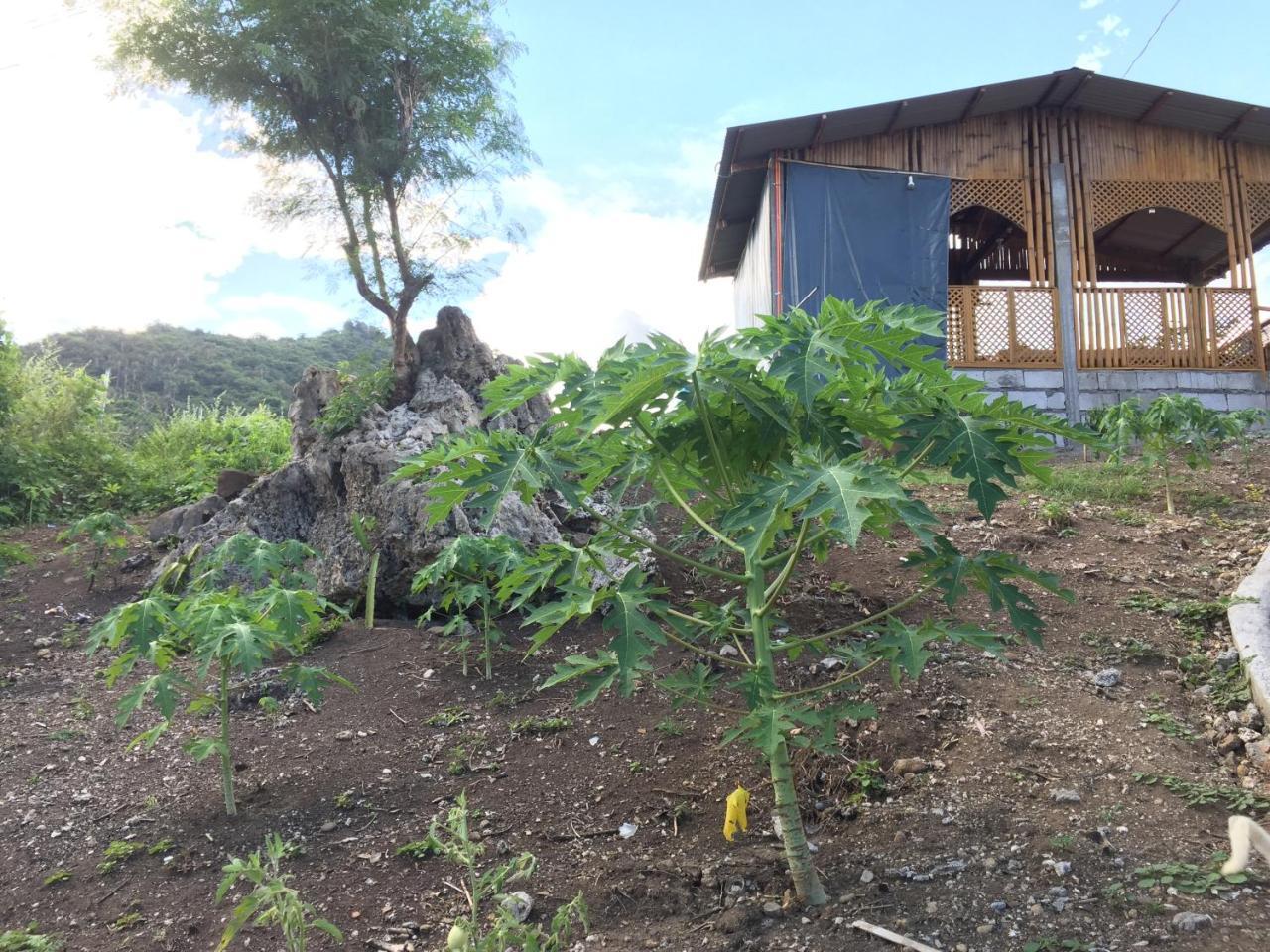 Sealovers' Place Masasa Beach Batangas Eksteriør bilde